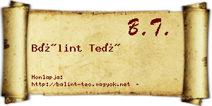 Bálint Teó névjegykártya